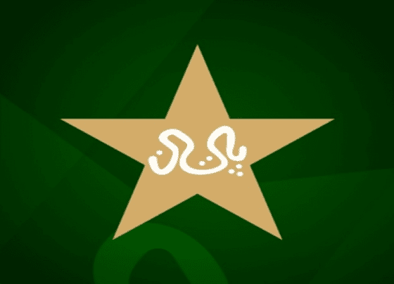 Graphic logo representing Pakistan, featuring a green and white color scheme with a crescent and a star.