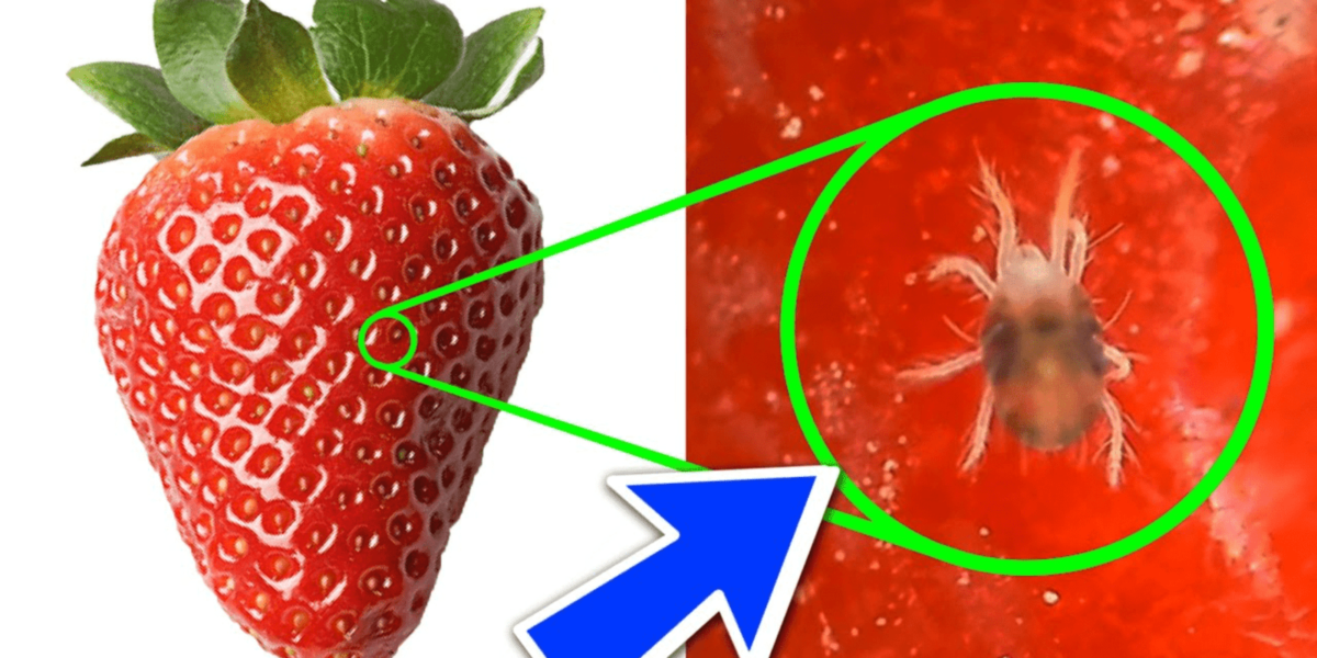 strawberry