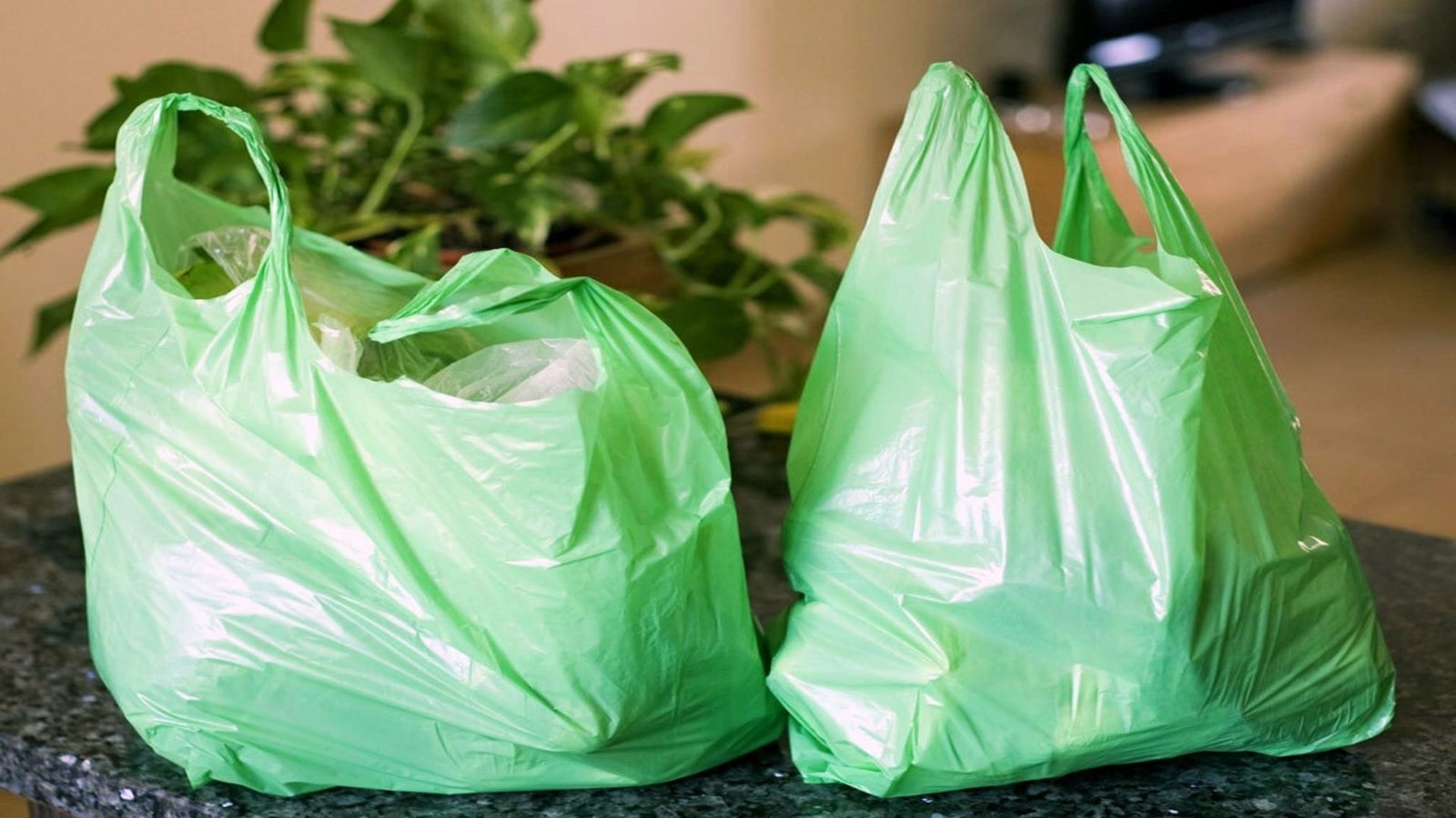 Punjab Bans Plastic Bags