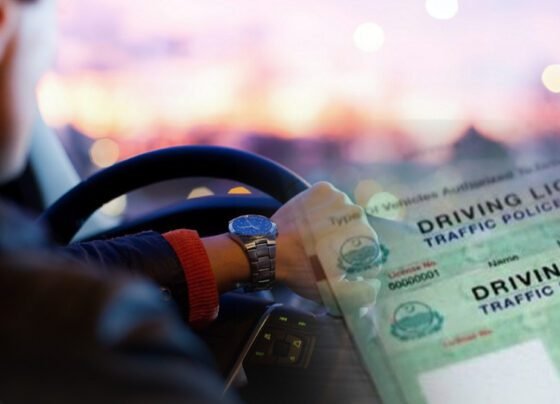 Punjab driving license and a man driving
