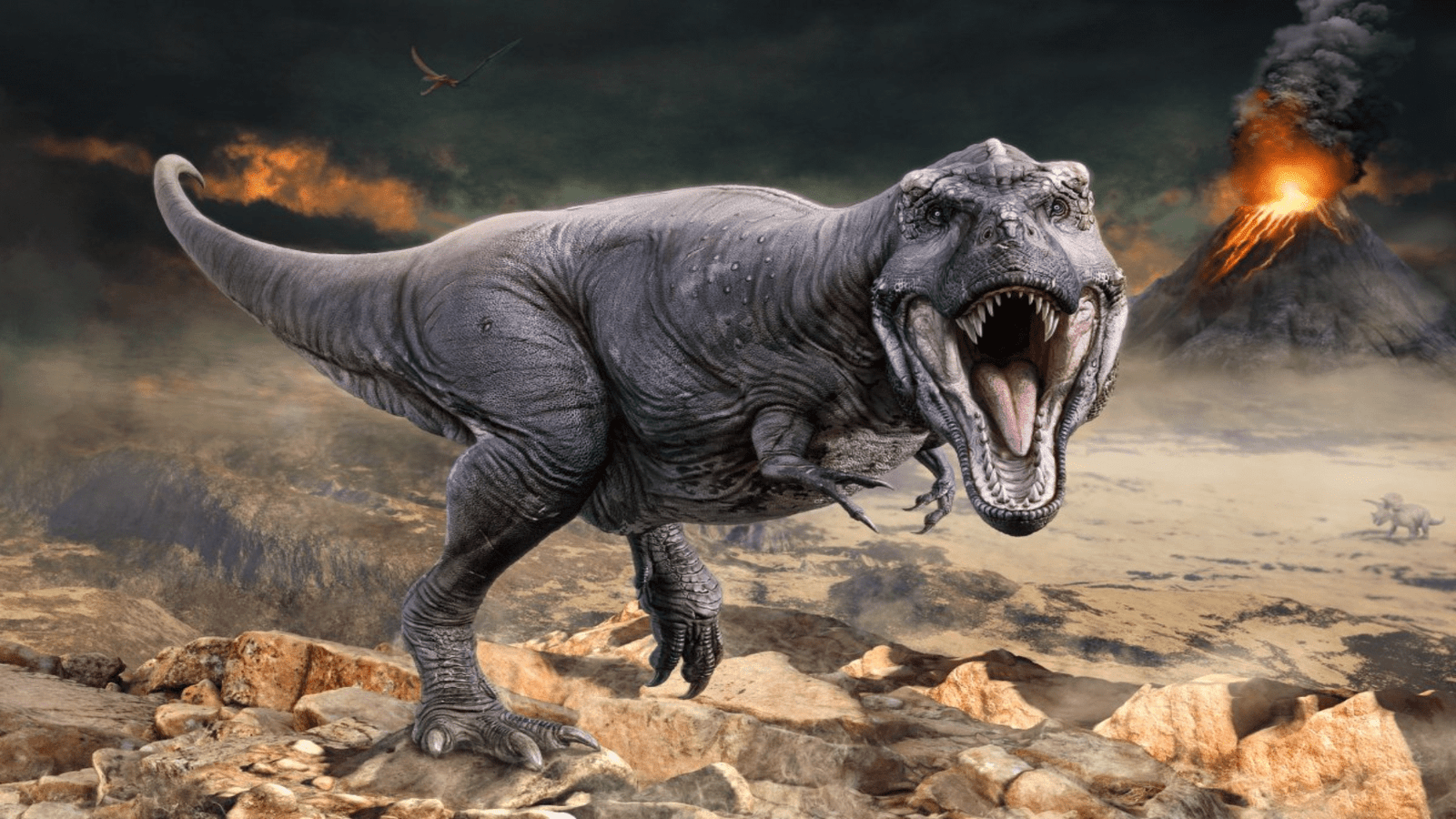 Dinosaurs became warm-blooded 180 m years ago: study