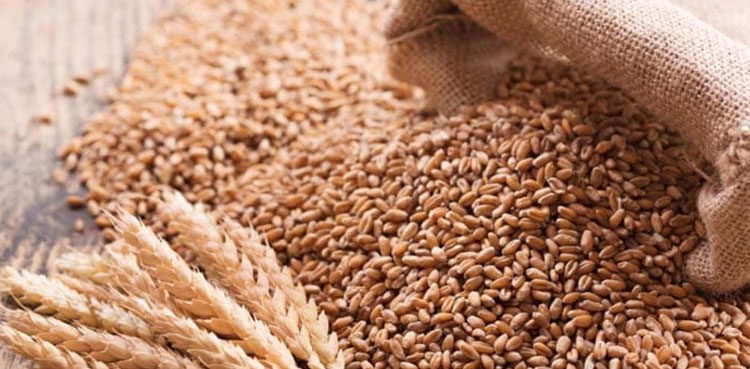 PM Shehbaz orders suspension of four senior officials over wheat import scandal
