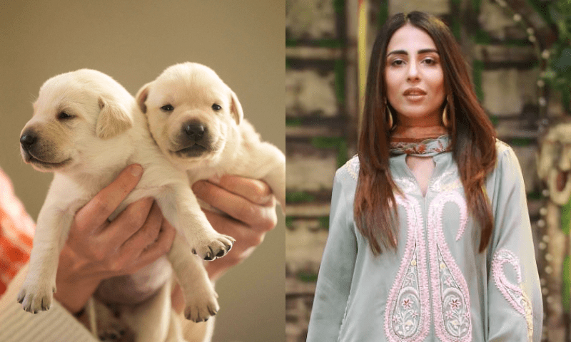 Ushna Shah announces 100,000 reward to identify men who threw dog off terrace in Karachi