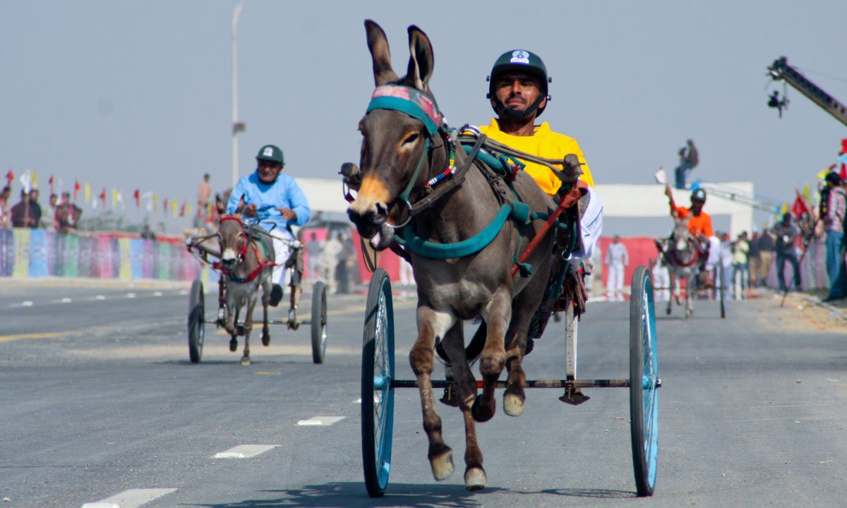 Donkey cart race in Karachi win by ‘Bijli’ from Lyari