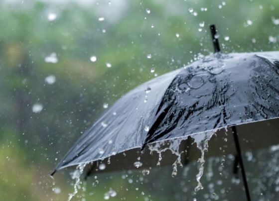 Heavy monsoon rain predicted within the next 24 hours