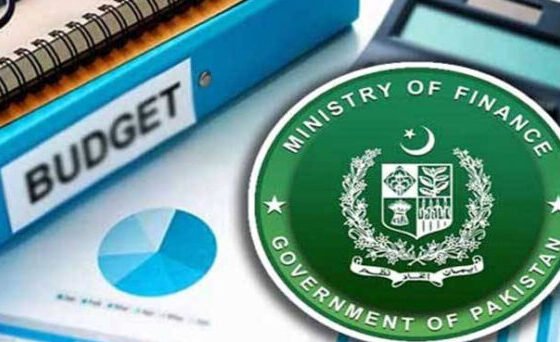 36 thousand rupees recommendation for minimum wage in Budget 24-25