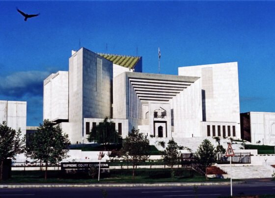 Decision reserved on government appeals against nullification of NAB amendments