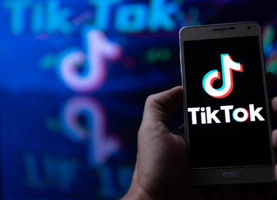 TikTok image search feature