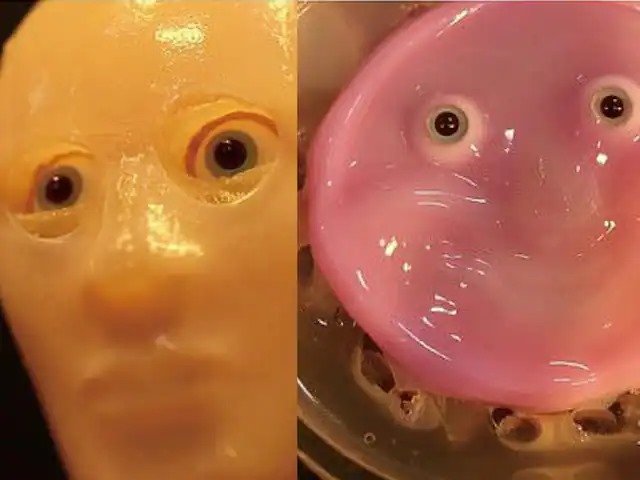 Scientists create robot faces using real human skin capable of self-repair
