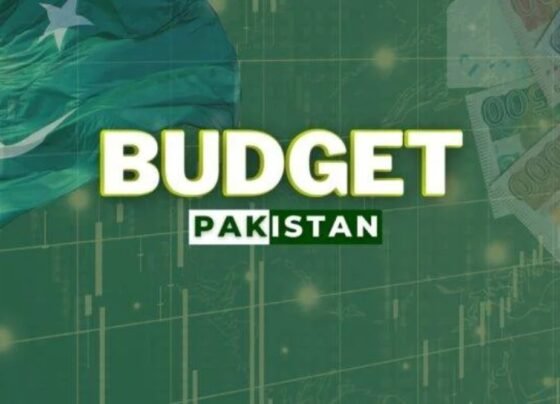 budget pakistan