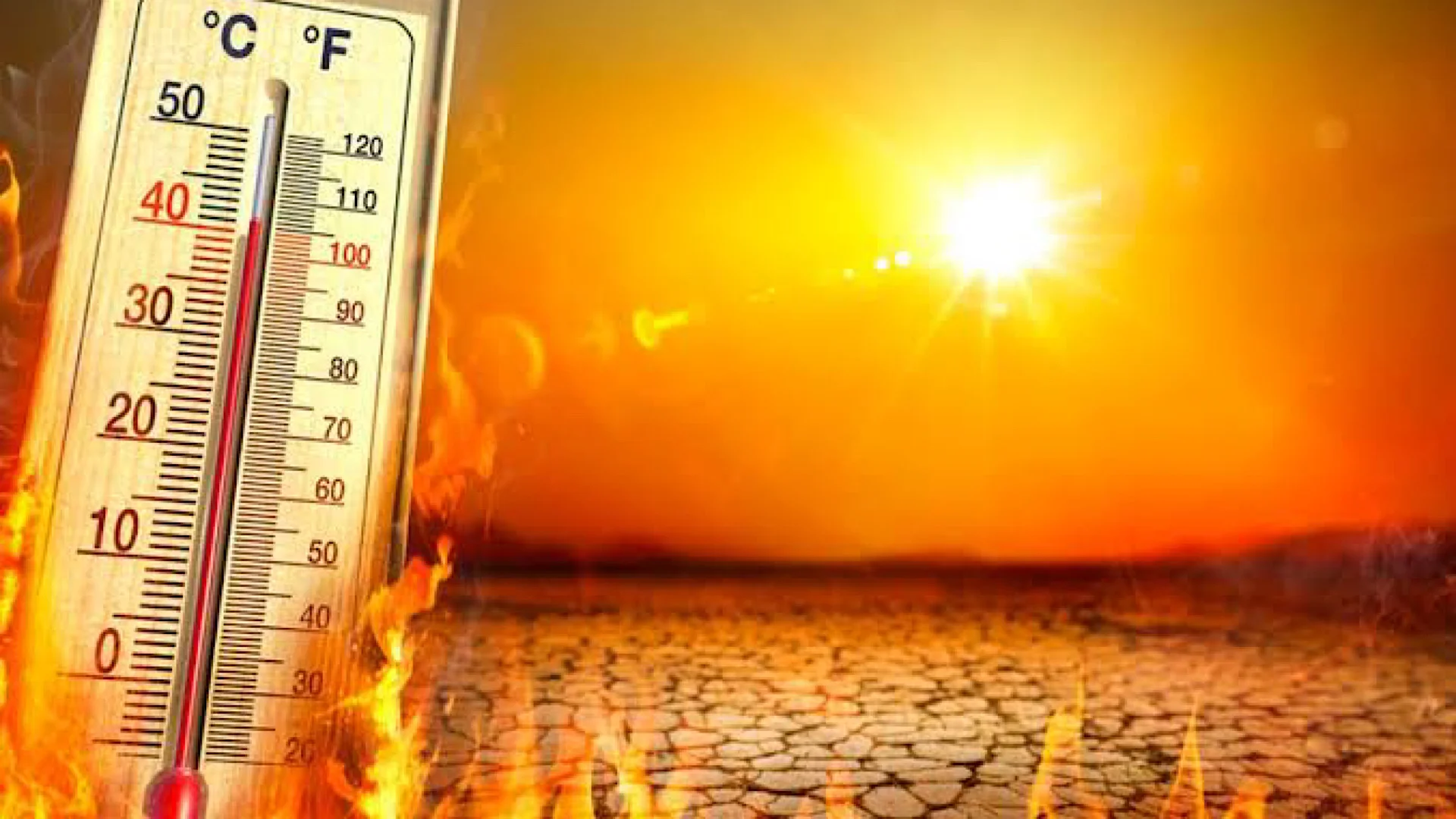 Did 568 people die due to the heatwave in Karachi?