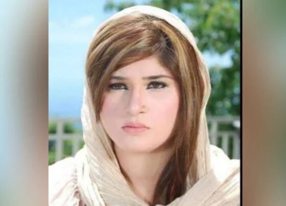 pashto actress