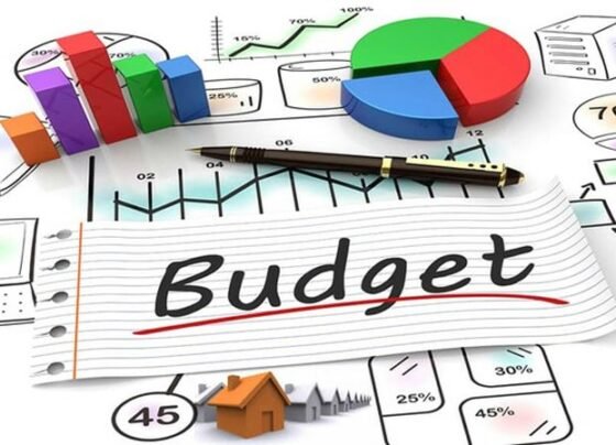 Budget 24-25: proposal to increase taxes on filers and non-filers