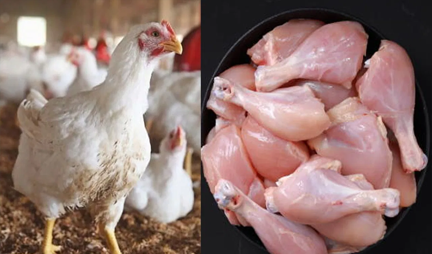 Chicken prices hit all-time high in Peshawar : here is latest prices