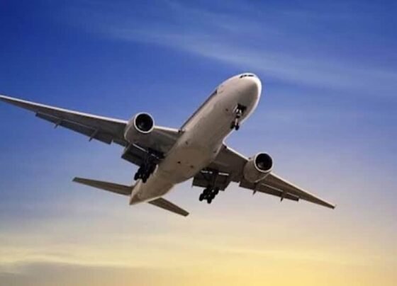 Economy airfare soars by 150%