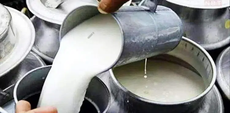 Dairy farmers announce milk price hike to Rs300 per liter