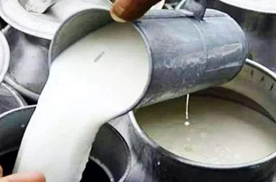 Dairy farmers announce milk price hike to Rs300 per liter