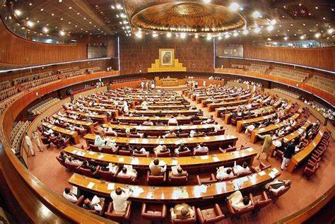 NA proposes bill to limit independent candidates’ party affiliation