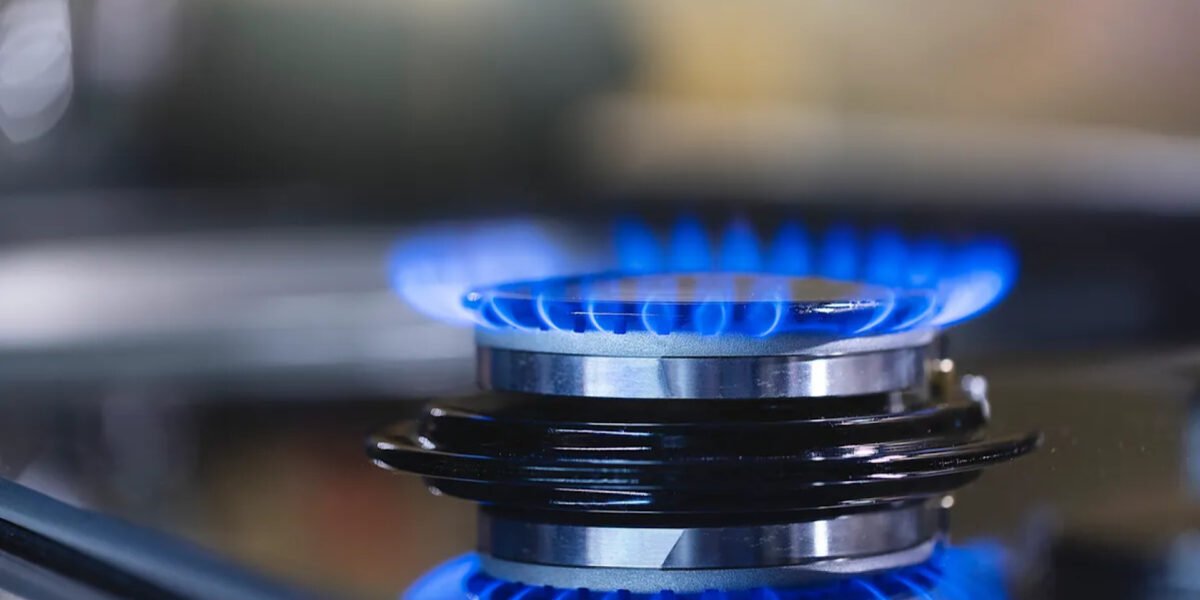 Govt to raise gas prices this winter to promote electric heating