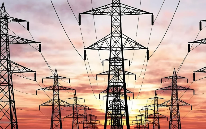 Govt considers shutting down IPPs to lower electricity bills