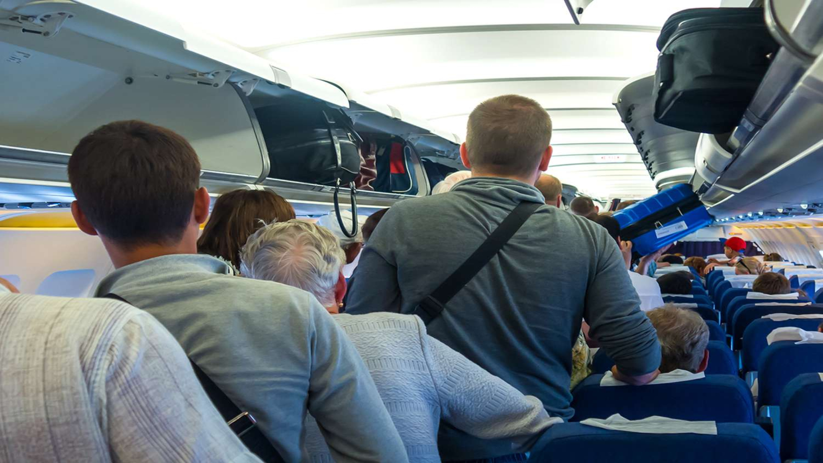 American flight makes emergency landing after passenger spots lice in woman’s hair