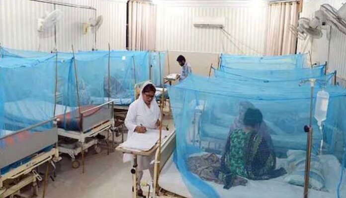 Punjab confirms 93 dengue cases in 24 hours