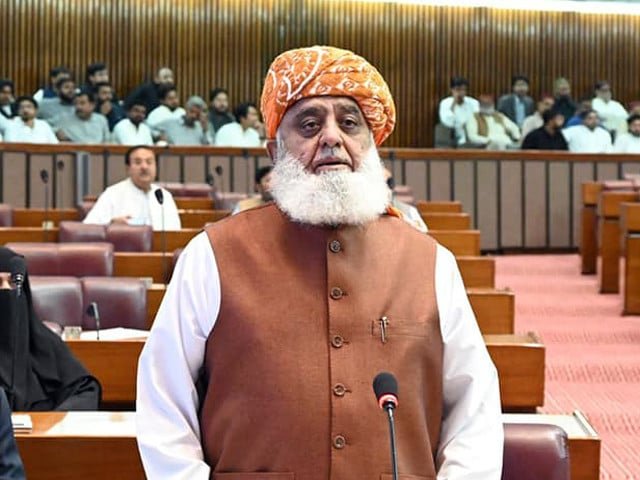 Govt unprepared to present 26th Constitutional amendment draft, seeks cooperation: Fazlur Rehman