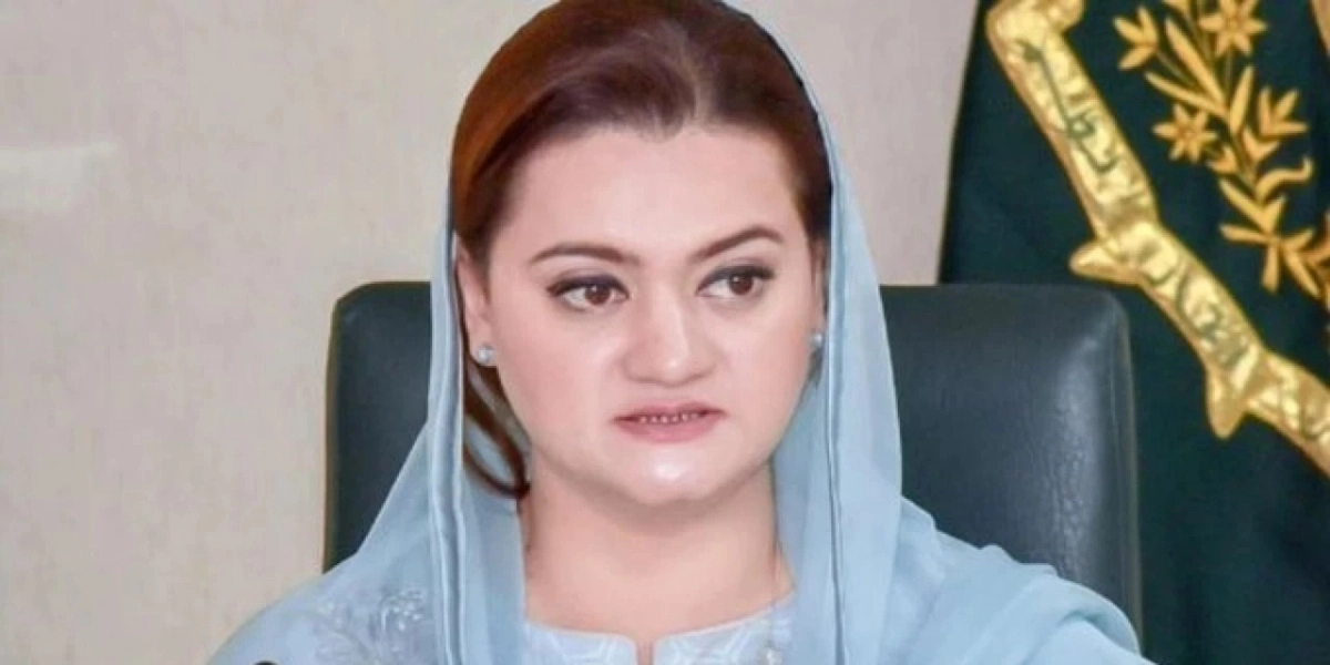 We have a zero-tolerance policy on smog:  Marriyum Aurangzeb