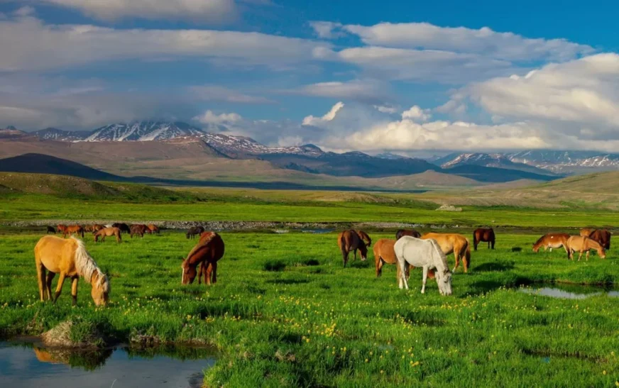 Wildlife Watching: National Parks and Reserves in Pakistan