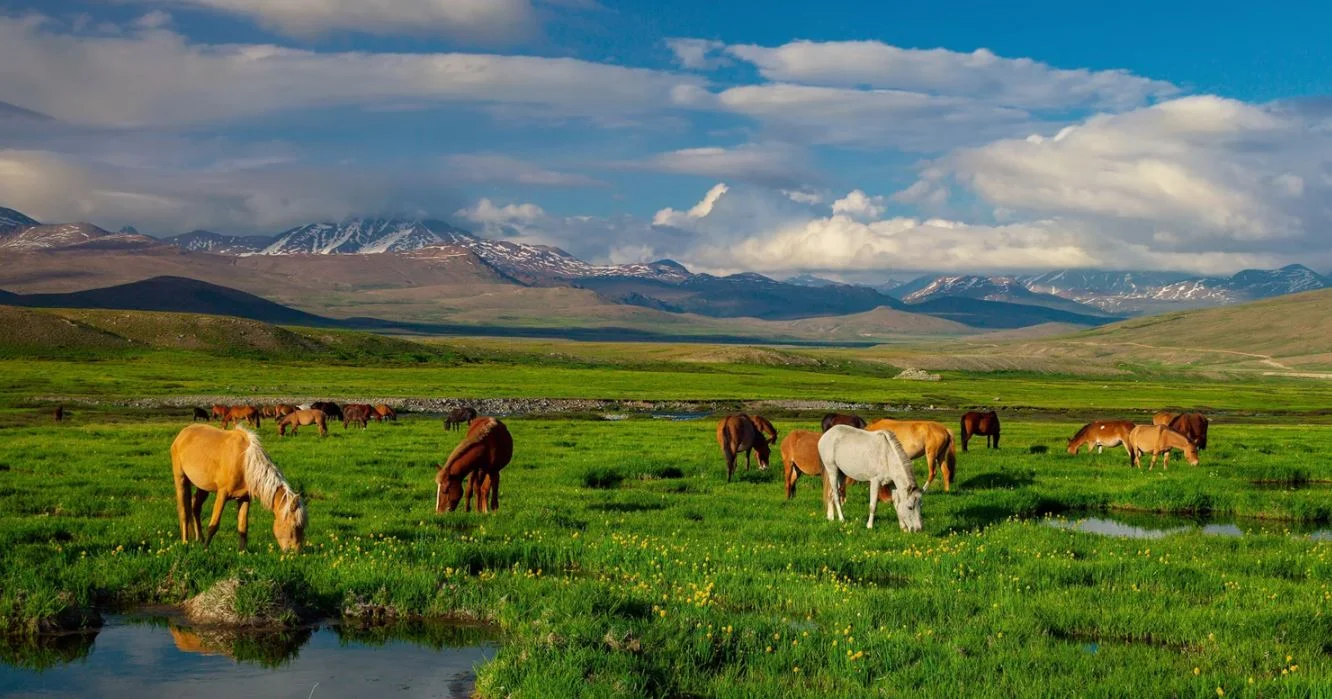 Wildlife Watching: National Parks and Reserves in Pakistan