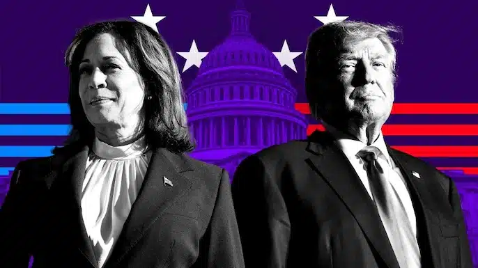 US Elections 2024 Result: Trump ahead in over 205 electoral votes, Harris in 117