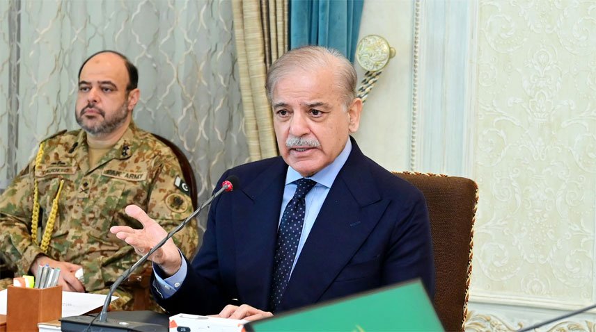 PM Shehbaz consitutes task force to probe PTI protest saga