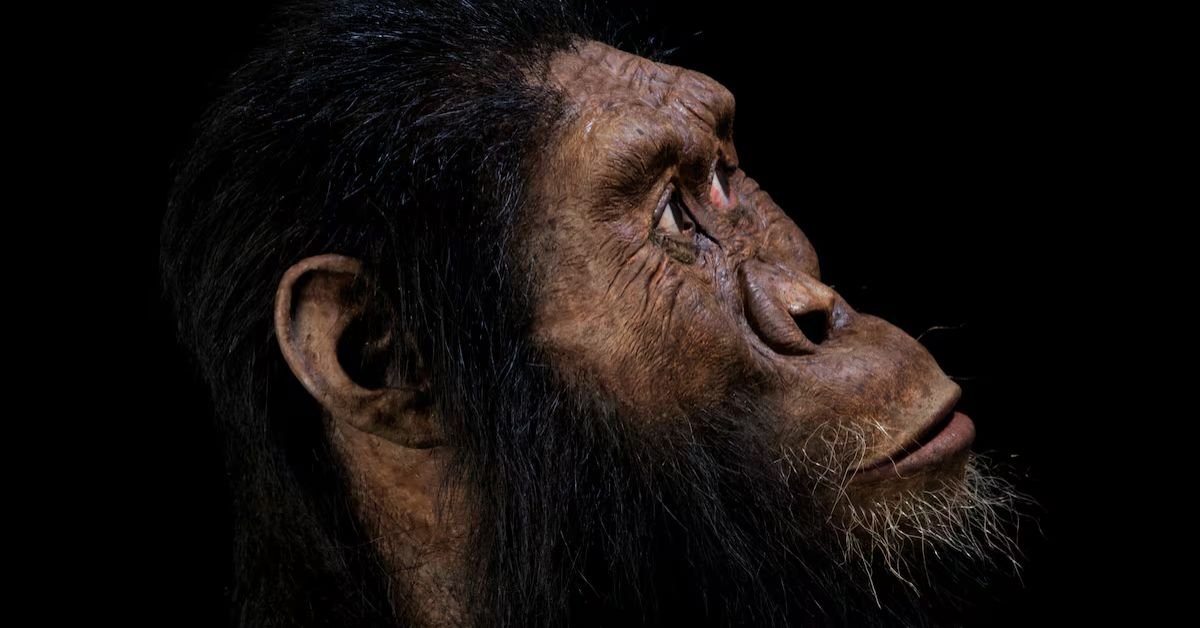 New human species with huge heads discovered in China